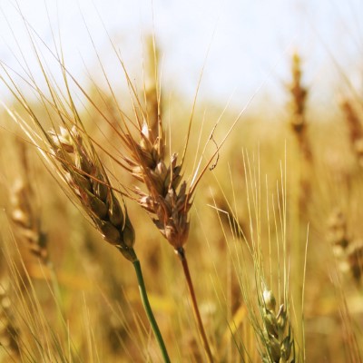 1920 x 1080 HD Wallpapers 3498